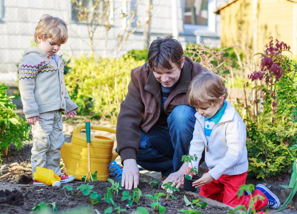 Home and Garden