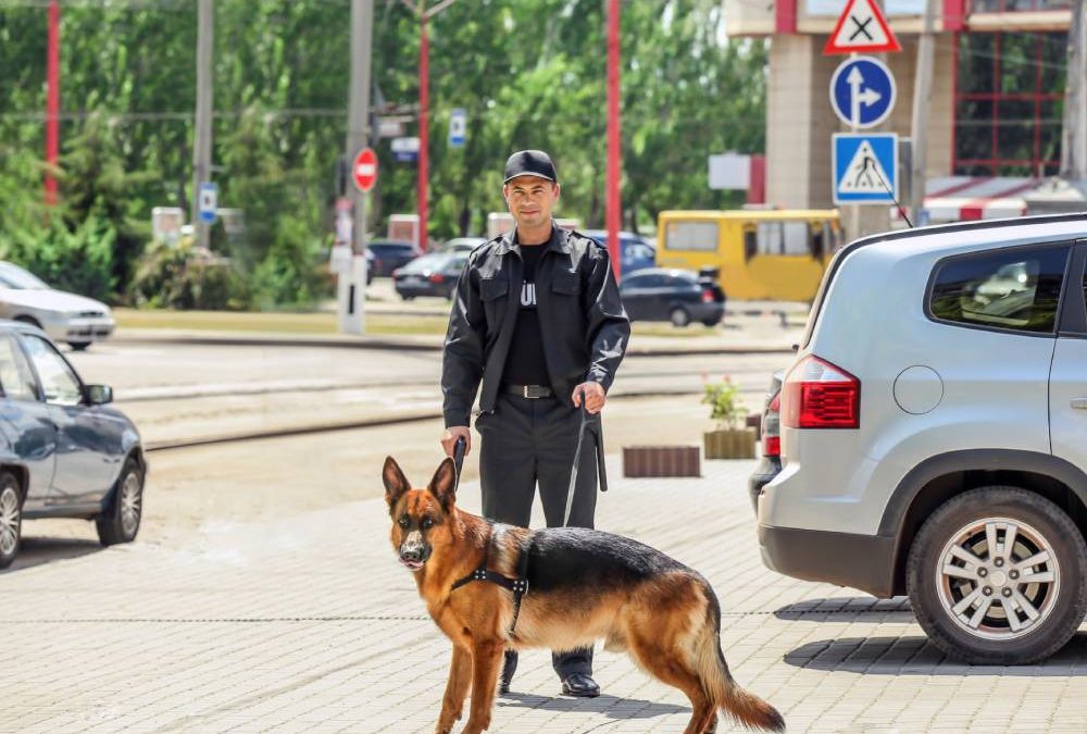 The Benefits of Choosing Unarmed Security Guard Services in Sacramento for Property Protection