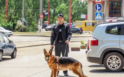 How Armed Security Guard Training Classes in Virginia Beach, VA Shape Your Career Path