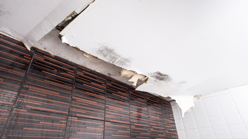 Water Damage Repair in Omaha, NE: Restore Your Home to Pristine Condition