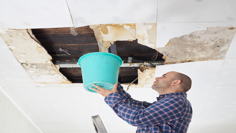 A Comprehensive Guide to Water Damage Repair in Omaha, NE.