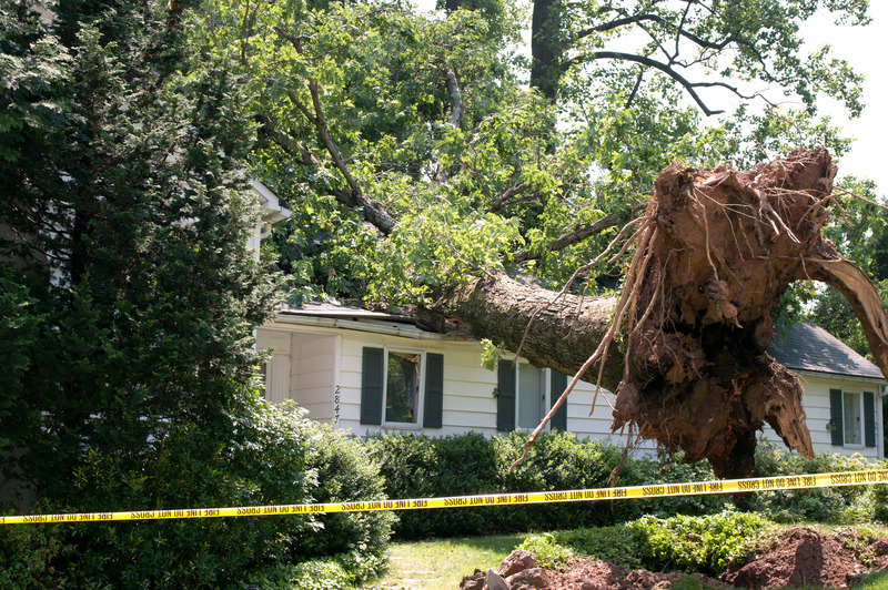 Affordable Storm Damage Repair Service in Council Bluffs, IA