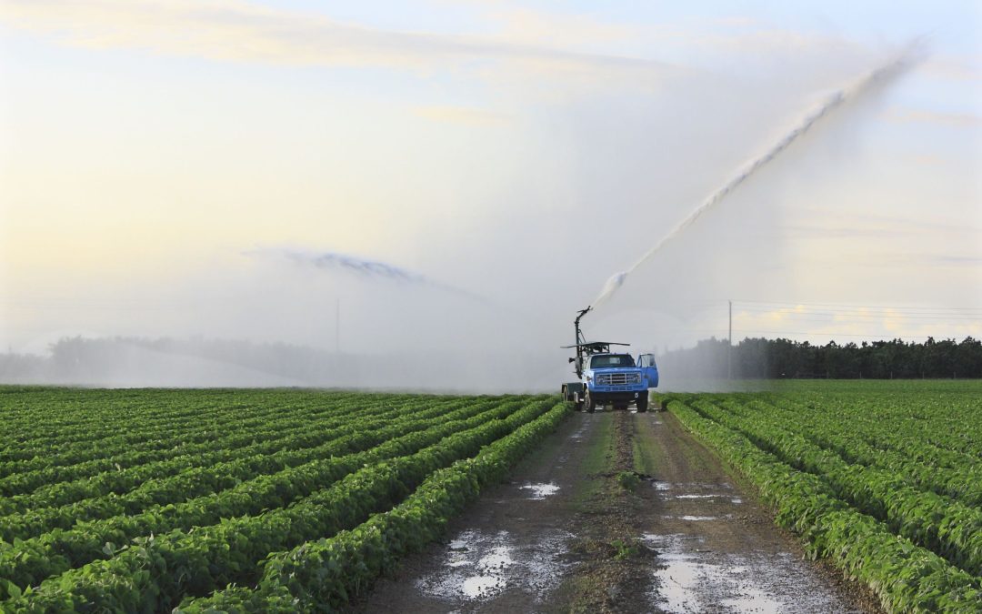 Real-World Success Stories in Crop Disease Management: Fungicide Crop Spray in Heyworth in Action