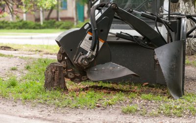 Improve Property Value with Stump Removal Service, Topsfield, MA Solutions