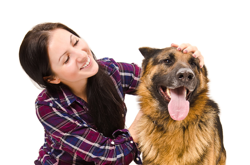 Pet Boarding in Wisconsin Rapids, WI: A Safe and Engaging Option for Your Furry Friend