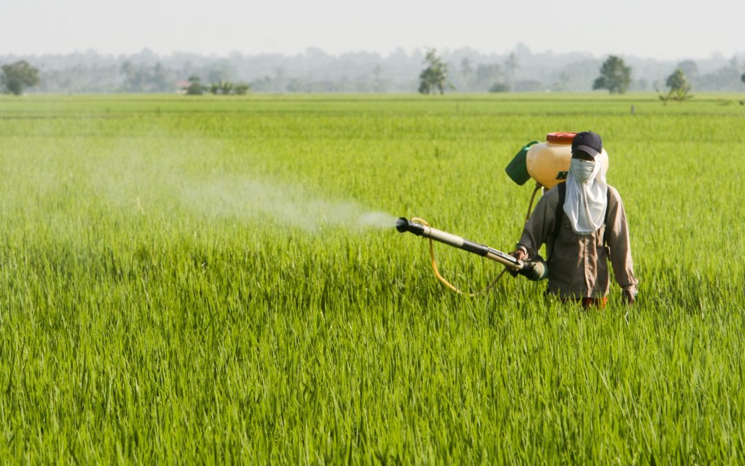 A Deep Dive Into Efficient and Eco-Friendly Practices: Herbicide Application in Decatur, IL