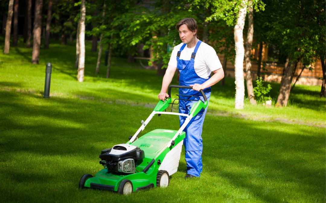 Premier Lawn Care Company in Maple Grove Delivering Unmatched Expertise for Exceptional Outdoor Spaces