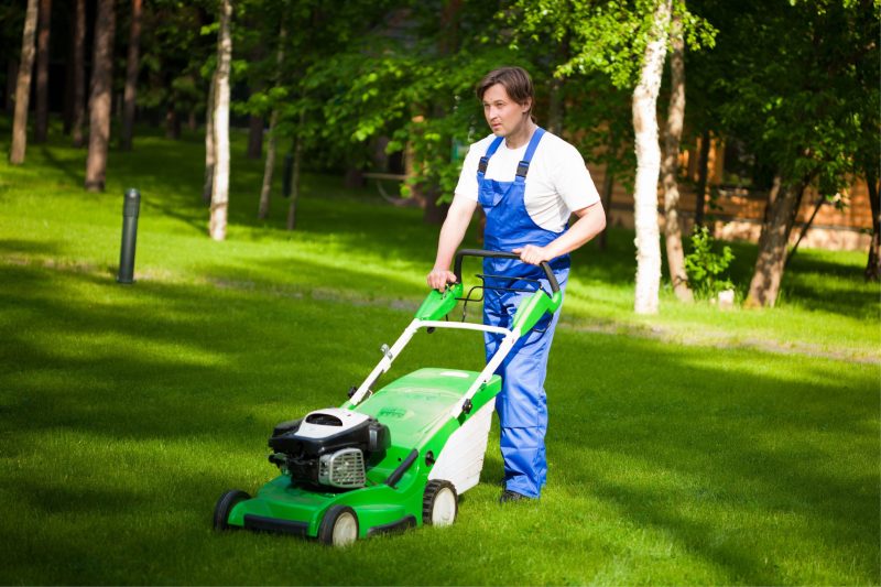 7217493_l-lawn-mower-man-on-the-backyard--e1741768258506