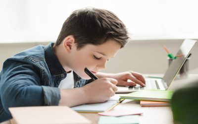 Improve Study Habits with Private Tutoring Suffolk County NY for Better School Results