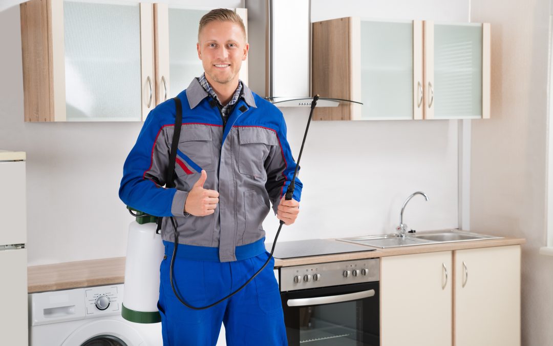 How Families Can Benefit from Professional Insect Control St. John IN Solutions