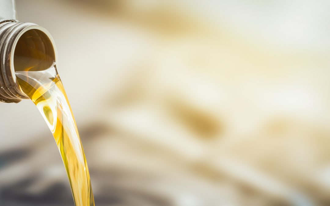 Protect Your Engine with Professional Oil Change Service Lakewood CO Solutions