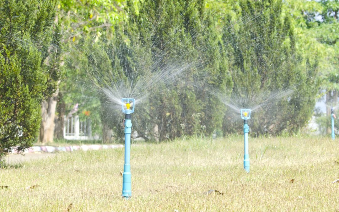 Signs You Need a Sprinkler Repair Company Round Rock for Healthier Green Lawns