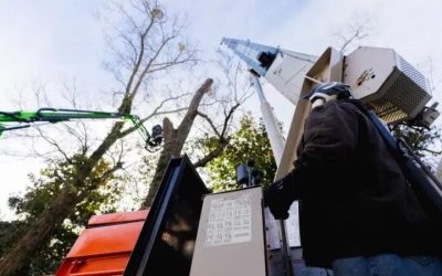 Why is tree crane service in McDonough, GA, essential for safe storm cleanup
