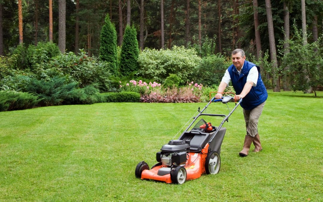 Proven Strategies for Lawn Maintenance Locals Use for Year-Round Beauty