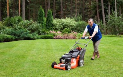 Proven Strategies for Lawn Maintenance Locals Use for Year-Round Beauty